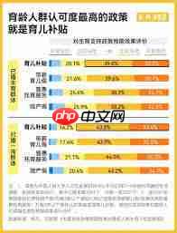 育儿补贴政策能持续到何时