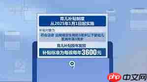 育儿补贴政策能持续到何时