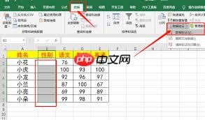 如何设置Word表格数据有效性
