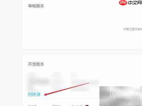 微信小程序体验版设置方法