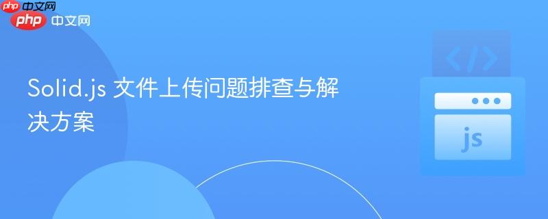 Solid.js 文件上传问题排查与解决方案 Solid.js 文件上传问题排查与解决方案