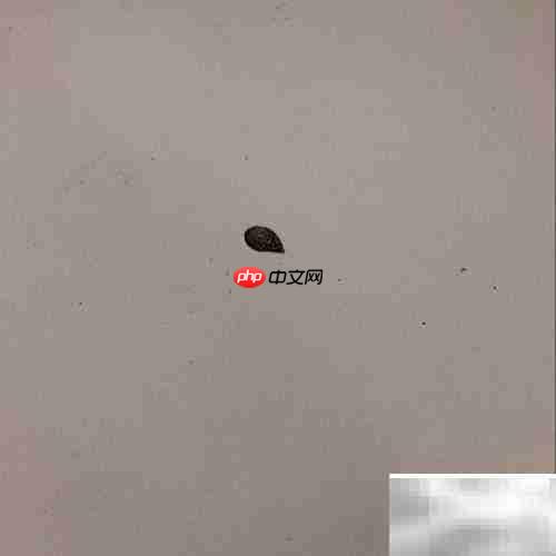 树叶贴画:巧手绘中国龙