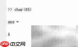 Matlab字符串运算详解