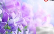 心理辅导与心理咨询的区别