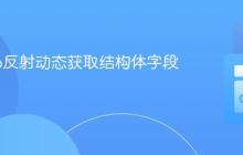 使用Go反射动态获取结构体字段名称