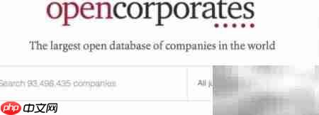 数据挖掘工具与实战技巧