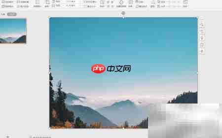 WPS PPT自由简约风封面制作