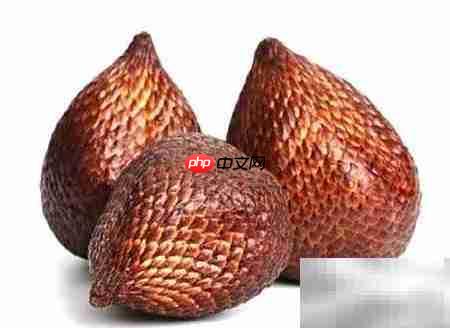 沙叻怎么读？一文教你正确发音