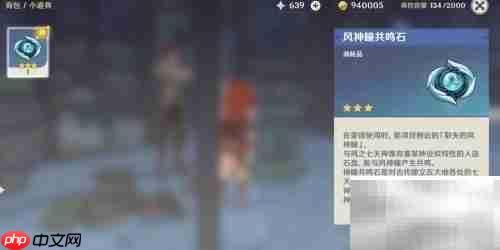 风神瞳丢失解决方法