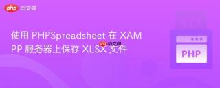 使用 phpspreadsheet 在 xampp 服务器上保存 xlsx 文件