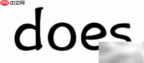 does是什么意思解析