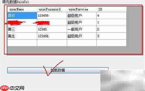 C DataGridView数据展示技巧