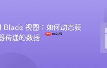 Laravel Blade 视图:如何动态获取控制器传递的数据
