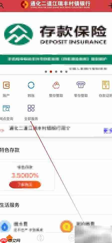 通化二道江瑞丰账户查询指南