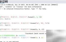Python中format用法详解