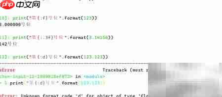 Python中format用法详解