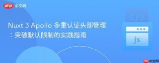 Nuxt 3 Apollo 多重认证头部管理：突破默认限制的实践指南