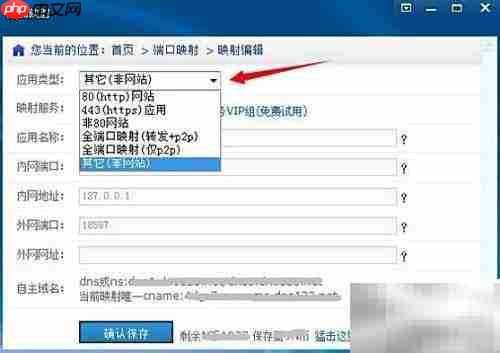 和蛤蟆同食的奇妙体验