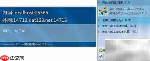 和蛤蟆同食的奇妙体验