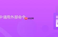 在 Go 中调用外部命令