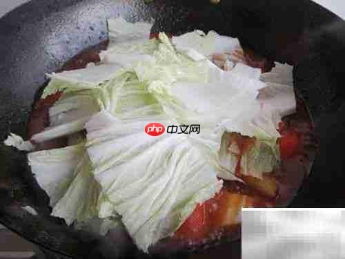 萨斯肯牛肉做法详解