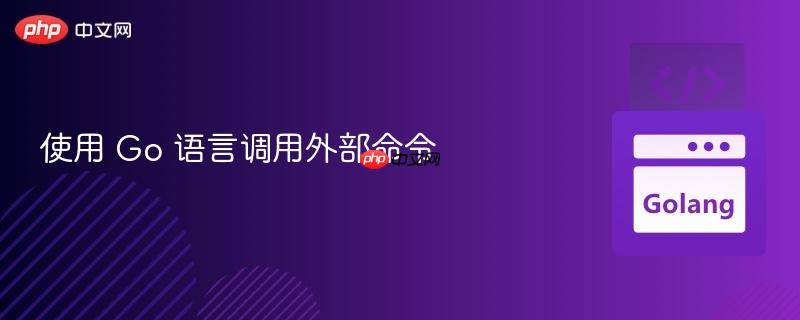 使用 Go 语言调用外部命令 使用 Go 语言调用外部命令