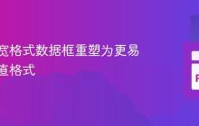 如何将宽格式数据框重塑为更易读的垂直格式