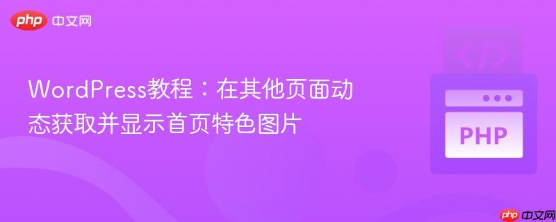 wordpress教程:在其他页面动态获取并显示首页特色图片
