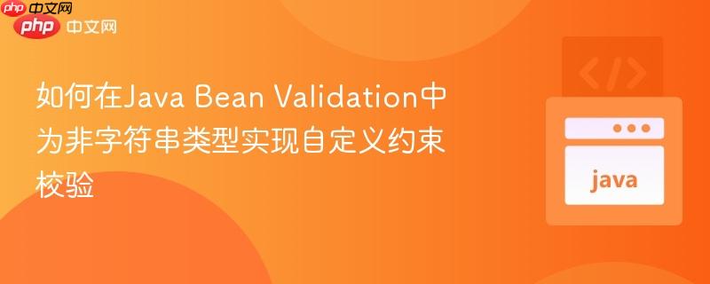 如何在java bean validation中为非字符串类型实现自定义约束校验