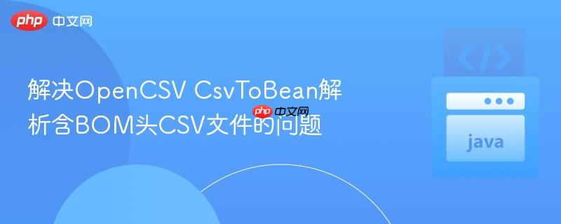 解决OpenCSV CsvToBean解析含BOM头CSV文件的问题