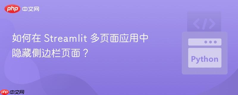 如何在 streamlit 多页面应用中隐藏侧边栏页面？