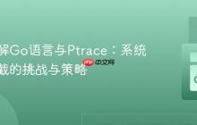 深入理解Go语言与Ptrace:系统调用拦截的挑战与策略