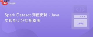 Spark Dataset 列值更新：Java 实现与UDF应用指南