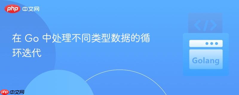 在 go 中处理不同类型数据的循环迭代