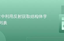 Go语言中利用反射获取结构体字段名称列表