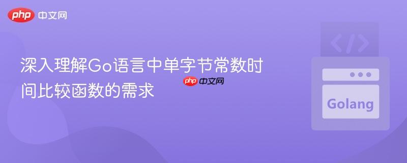 深入理解Go语言中单字节常数时间比较函数的需求