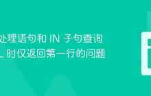 使用预处理语句和 IN 子句查询 MySQL 时仅返回第一行的问题