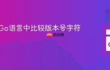 如何在Go语言中比较版本号字符串