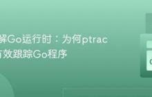 深入理解Go运行时:为何ptrace难以有效跟踪Go程序