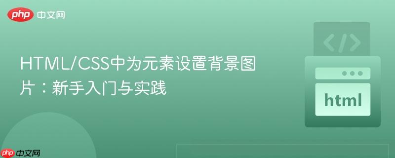 HTML/CSS中为元素设置背景图片:新手入门与实践