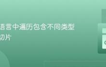 在 Go 语言中遍历包含不同类型元素的切片