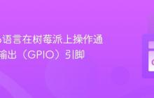 使用Go语言在树莓派上操作通用输入输出(GPIO)引脚