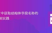 Go语言中获取结构体字段名称的反射机制实践