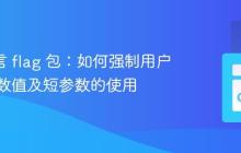 Go 语言 flag 包:如何强制用户指定参数值及短参数的使用