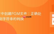 Go语言中创建PGM文件:正确处理整数到字符串的转换
