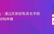 Golang:通过反射获取具名字段的底层结构体值