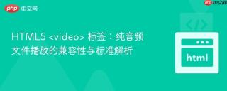 HTML5  标签：纯音频文件播放的兼容性与标准解析