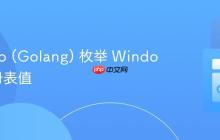 使用 Go (Golang) 枚举 Windows 注册表值