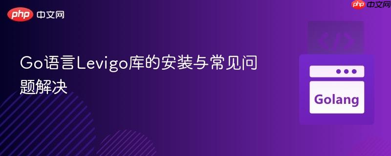 Go语言Levigo库的安装与常见问题解决