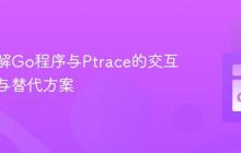 深入理解Go程序与Ptrace的交互:挑战与替代方案
